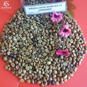 [FREE SAMPLE] Vietnam Robusta Green Coffee Bean-0084 902 431 106-Juli-GMO-Strong Flavor - Product Image 3