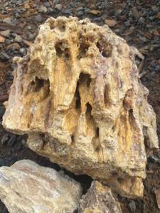 Damar Batu de qualité supérieure fabriqué au Vietnam de haute qualité - Product Image 5