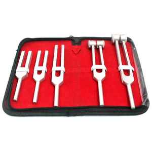 Juego de diapasones Manual de acero inoxidable de alta calidad para instrumentos de diagnóstico médico quirúrgico certificado CE de calidad Premium - Product Image 1