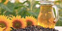 Hoogwaardige 100% pure geraffineerde olijfolie Italiaans 1L glazen fles 18 maanden houdbaarheid Klaar voor gebruik