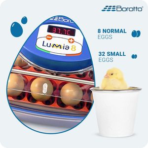 Lumia 8 Expert <b>Egg</b> <b>Incubator</b> for Sale 8 Chicken Constant Internal Visibility 12V Dc <b>Egg</b> <b>Incubator</b> Made in Italy - Product Image 2