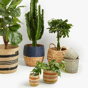 Esta cesta tejida, con forma de jacinto de agua y con asa de hierba marina, es perfecta para organizar artículos en el baño o la lavandería. - Product Image 2