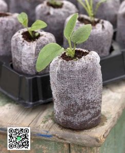Pellets de turba de coco/plántulas de plantas de suelo de coco con precio barato de Eco2go Vietnam - Product Image 3