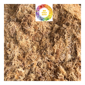 Mousse de mer irlandaise séchée de haute qualité Clean Eucheuma Cottonnii Seaweed Produit naturel de grande taille Parfait pour la salade de mousse de mer - Product Image 6