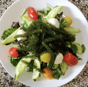 Raisins de mer de haute qualité, best-seller pour les aliments de BLUE LOTUS - Product Image 3