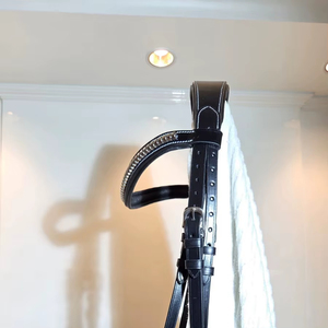 Anatomic Designer Fancy Stitched Raised Flash Noseband Snaffle Jumping Leather Bridle Soft Lined Mono Crown - Product Image 1