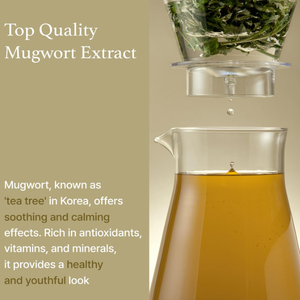 [Soy de] Esencia de artemisa 160mL-Cosméticos de Corea al por mayor - Product Image 3