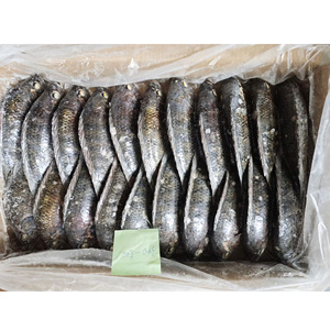Pescado Tilapia Congelado BQF |   Precio Competitivo |   Suministro Mayorista Confiable para Importadores de Malí - Product Image 6
