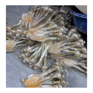 Cuillère en nacre et cuillère en coquillage de qualité supérieure par le fournisseur vietnamien 99 données en or pour la décoration de table - Product Image 6
