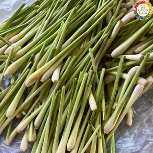 Premium Natural Herb Fresh Lemongrass From Vietnam Suitable For Culinary Uses And Flavoring Ingredient Applications - Product Image 1