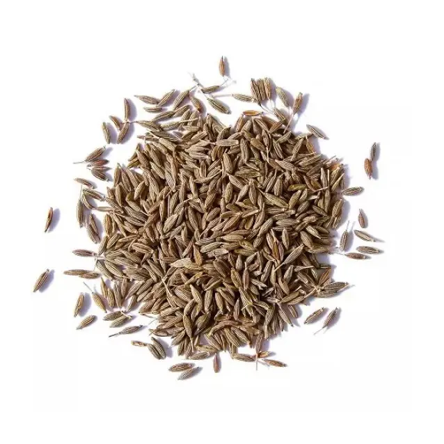 Venta caliente comida condimento comino semillas especias alta calidad fábrica venta precio de fábrica 25 50 kg embalaje comino