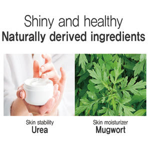 เซรั่มบำรุงผิวเท้าสูตรวีแกนจากเกาหลี ผลิตโดย OEM ผสมยูเรีย ช่วยเติมความชุ่มชื้นอย่างล้ำลึกและผลัดเซลล์ผิว - Product Image 4