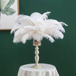 45-50cm blanco a granel Rosa pluma plumas de avestruz naturales para fiesta carnaval disfraz boda centro de mesa florero Floral Decoración - Product Image 1