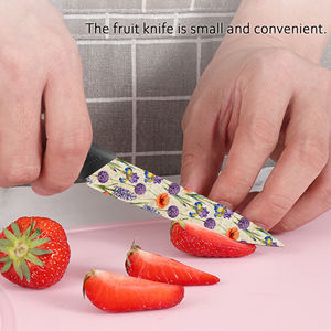 Juego de Cuchillos de Chef Profesionales de Cerámica con Mangos de Plástico, Diseño Ambidiestro, Aptos para Lavavajillas, Afilados, Ideales para Regalo, Entrega Rápida - Product Image 3