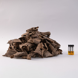 Việt Nam trồng trầm hương chip, nhựa cao, cho bakhoor cơ sở & cao cấp hương 100 gam - Product Image 4