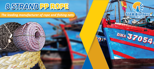 Cuerda de pesca Danline de alta calidad y económica, opción económica sin comprometer el rendimiento - Product Image 6