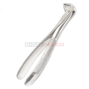 Forceps d'extraction de haute qualité, modèle anglais, pour les extractions dentaires, instrument chirurgical pour l'extraction des racines et des molaires - Product Image 2
