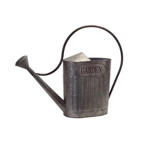 Arrosoir galvanisé pour plantes d'extérieur avec bec amovible, arrosoir en métal parfait pour plantes d'intérieur et fleurs de jardin - Product Image 3