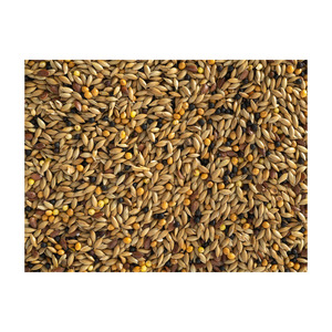 Semillas de canario orgánicas de alta calidad para animales, proveedor mayorista de calidad para perros y peces de ganado - Product Image 1