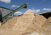 Sciure de bois de pin 100% naturelle de haute qualité, triplement lavée, pour litière de chevaux, bovins, volailles, agriculture et horticulture