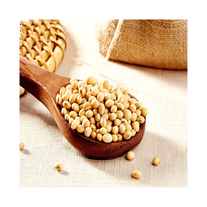 เมล็ดถั่วเหลืองแบบ non GMO - Product Image 4