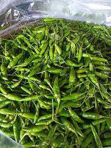 Chili fresco congelado Premium orgánico de alto grado Chile agricultura hierbas de Vietnam fabricante - Product Image 2