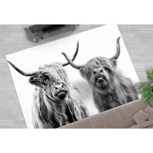 Tapis Vache des Highlands : Tapis d'appoint moderne à motif animal, lavable en machine, tapis fin non tissé - Product Image 1