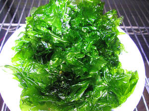 ULVA LACTUCA/ SEA LETTUCE/ GREEN <b>SEAWEED</b> POWDER // Ms. Shyn - Product Image 5