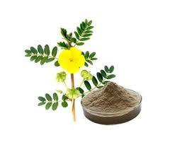 Polvo de extracto de Tribulus Terrestris herbal de grado alimenticio de alta calidad 98% saponinas a precio mayorista - Product Image 5