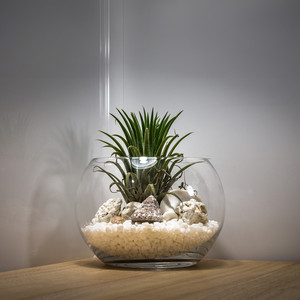 VBW1008 - Clear <b>Bubble</b> Bowl Vase - 10 x 8 - Product Image 3