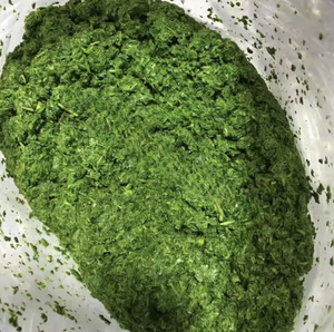 Feuille de manioc congelée prête pour les producteurs de repas surgelés Marques d'épicerie et distributeurs internationaux en vrac - Product Image 2