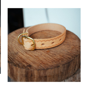 Collier pour chien en relief-Pétoncle-25mm-Naturel intelligent - Product Image 1