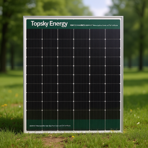 แผงโซลาร์เซลล์ Topsky Energy RSM132-8-660BMDG 600W HJT โมโนคริสตัลไลน์ พร้อมกระจกปิดด้านหน้า และใบรับรอง TUV - Product Image 3