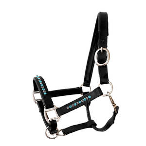 Licou équestre Bling Aqua Diamond noirci cuir de cheval licou prix de gros - Product Image 1