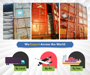 โรงงานราคาคุณภาพดีที่สุดขายส่งซัพพลายบริสุทธิ์100% ธรรมชาติและอินทรีย์มีคุณค่าทางโภชนาการ Chia เมล็ดจากไนจีเรีย - Product Image 6