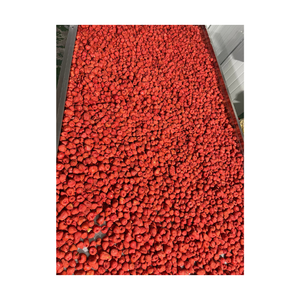 Fresas afrutadas y crujientes de Vietnam con tono rojo brillante y sabor completo, adecuadas para la industria de aperitivos y compradores globales - Product Image 5