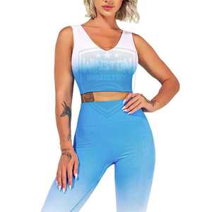 Venta caliente señoras gimnasio Fitness ropa transpirable sin costuras Yoga traje conjunto hecho de Spandex poliéster patrón sólido - Product Image 2