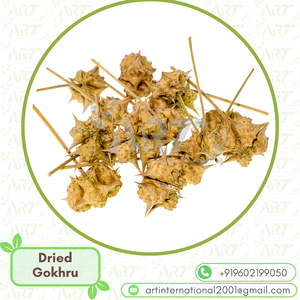 Saf Tribulus Terrestris <span class=keywords><strong>Gokhru</strong></span> Kurutulmuş Meyve Erkek Cinsel Gücü İçin Bitkisel Takviye Üreticisi Toplu Tıbbi Bitkiler İhracatçısı - Product Image 2