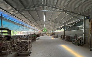 Sofá de bambú de estilo tradicional, muebles de Silla, diseño plegable para el hogar, hoteles, villas, apartamentos, venta al por mayor, comedor - Product Image 4