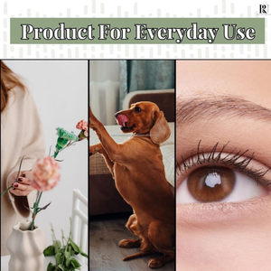 Ciseaux à ressort micro-courbés de 4,5 pouces en acier inoxydable pour couture, broderie, toilettage, appliqué, logo personnalisé, vente en gros - Product Image 4