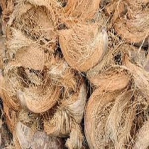 Fibre de noix de coco naturelle de haute qualité pour matelas brosses cordes tapis de culture paillis fibre de coco vente en gros de l'Inde - Product Image 3