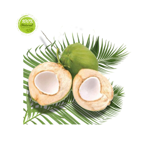 Nature's Best Boisson de désintoxication Fresh Young Coconut Water Produit agricole - Product Image 3