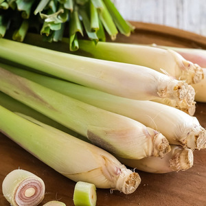 Fourniture en gros de tiges de feuilles de citronnelle fraîche au prix le plus bas du Vietnam - Product Image 5