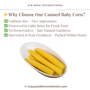 Maïs en conserve du Vietnam en saumure Vente en gros & Service OEM - Product Image 5
