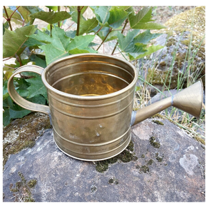 Regadera de Metal para vivero, plantas de jardín y flores, regadera para jardín, tetera y maceta con asa, diseño único - Product Image 1