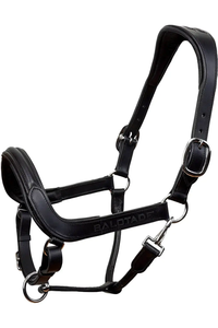 Hecho a mano Cosido-Polo Cuero Caballo Halter Mayorista Proveedor Compuesto de Excelente Calidad Caballo Halter Mejor Precio - Product Image 4