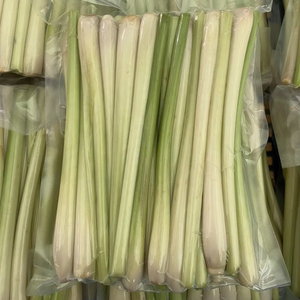 HIERBA DE LIMONO CONGELADA PRODUCIDA EN VIETNAM PARA MEJORAR EL SABOR AUTÉNTICO/PERFECCIÓN PARA CADA COMIDA - Product Image 2