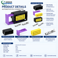 Connecteur étanche pour système de contrôle ECU DJ7242 211PC249S0005, fiche de faisceau de câbles automobile, logo personnalisé