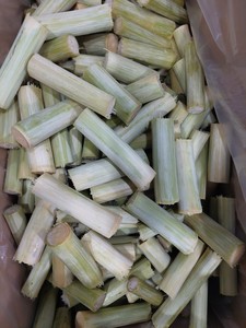 ส่งออกอ้อยคุณภาพสูง-อ้อยปอกเปลือกแช่แข็งจากเวียดนามสำหรับผู้ซื้อต่างประเทศ - Product Image 2