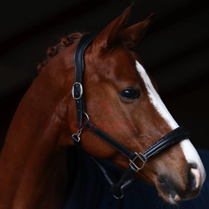 Bride et licou de style anglais de qualité équestre en cuir solide parfait pour l'équitation en plein air et tous les jours - Product Image 5